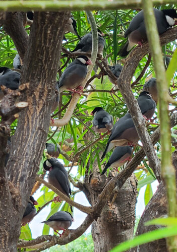 Send your best photos from Maui County to mauiphotos@mauinews.com for a chance to see them featured on our website and in our weekly print edition.